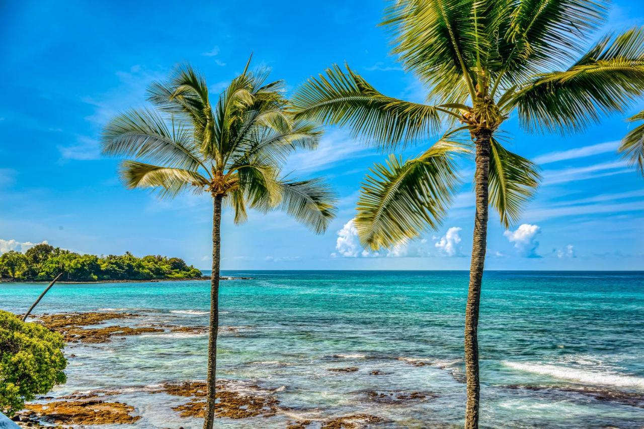 Apartament Kona Bali Kai #319 Kailua-Kona Zewnętrze zdjęcie